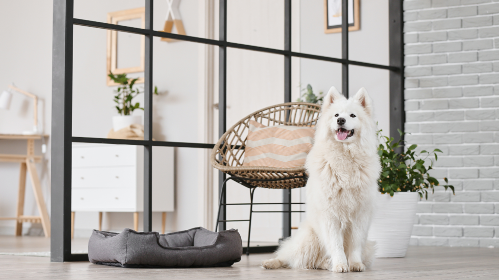 welcoming dog