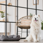 welcoming dog