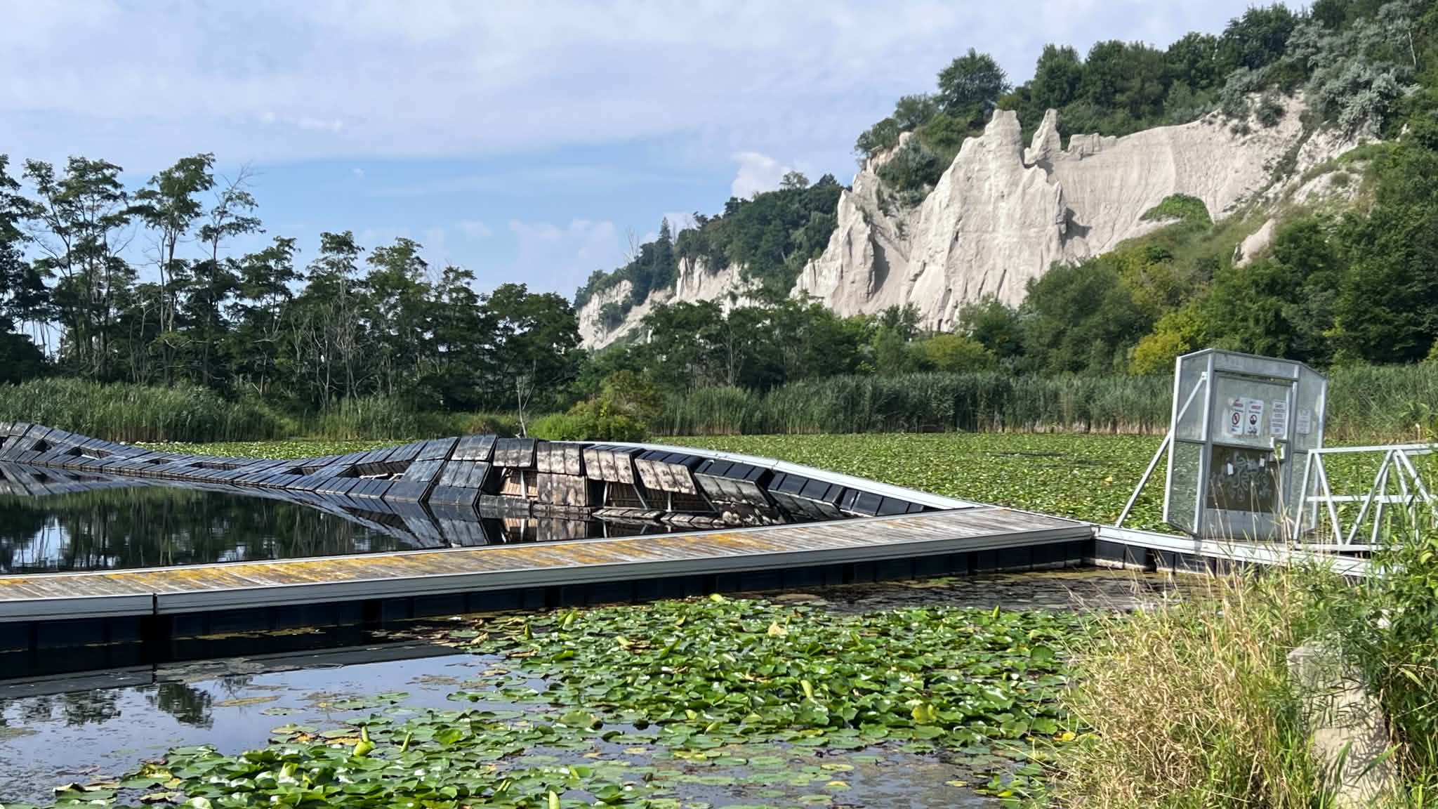Lily pads near rocky cliff guildwood scarborough bluffs